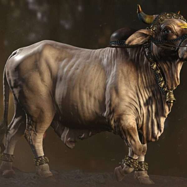 bull IACG Best Animation College