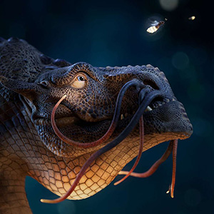 animation_300x300.jpg